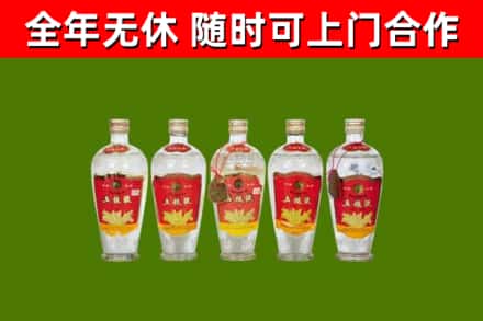 沿滩回收老五粮液